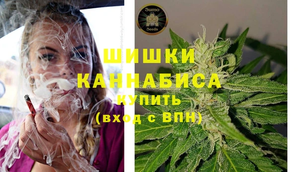 дживик Иннополис