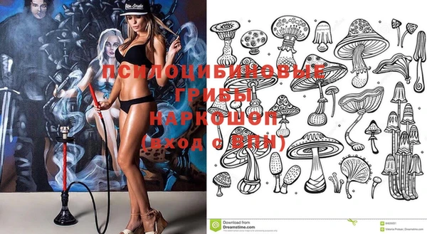 таблы Инсар