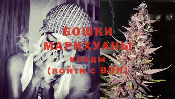 дживик Иннополис