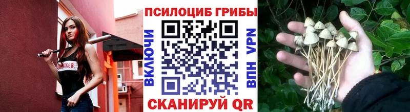 Купить  Новокубанск  Галлюциногенные грибы ЛСД 